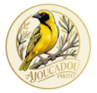 ajoucadou photo